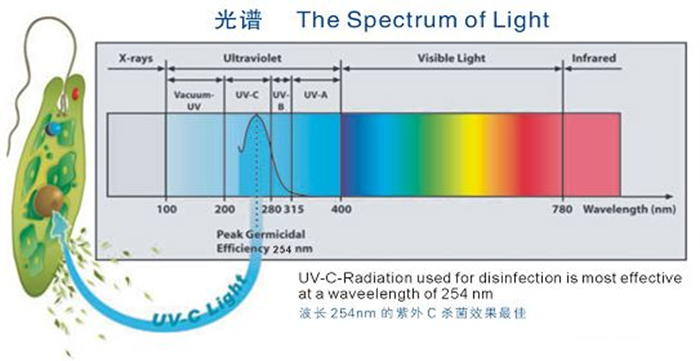 科普！紫外線殺菌燈對(duì)人體影響及正確使用方法